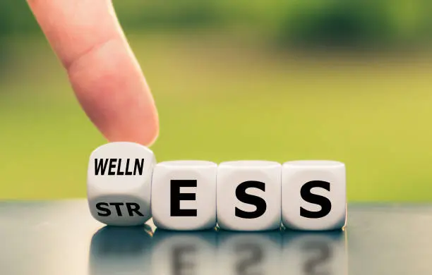 A close-up of a hand turning a white die with the word "STRESS" on one side and "WELLNESS" on the other. The die is next to three others spelling out "ESS," forming the full word "STRESS" or "WELLNESS" depending on the die's position. The background is blurred greenery, symbolizing health and mental well-being.